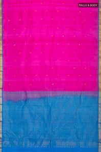 pallu body