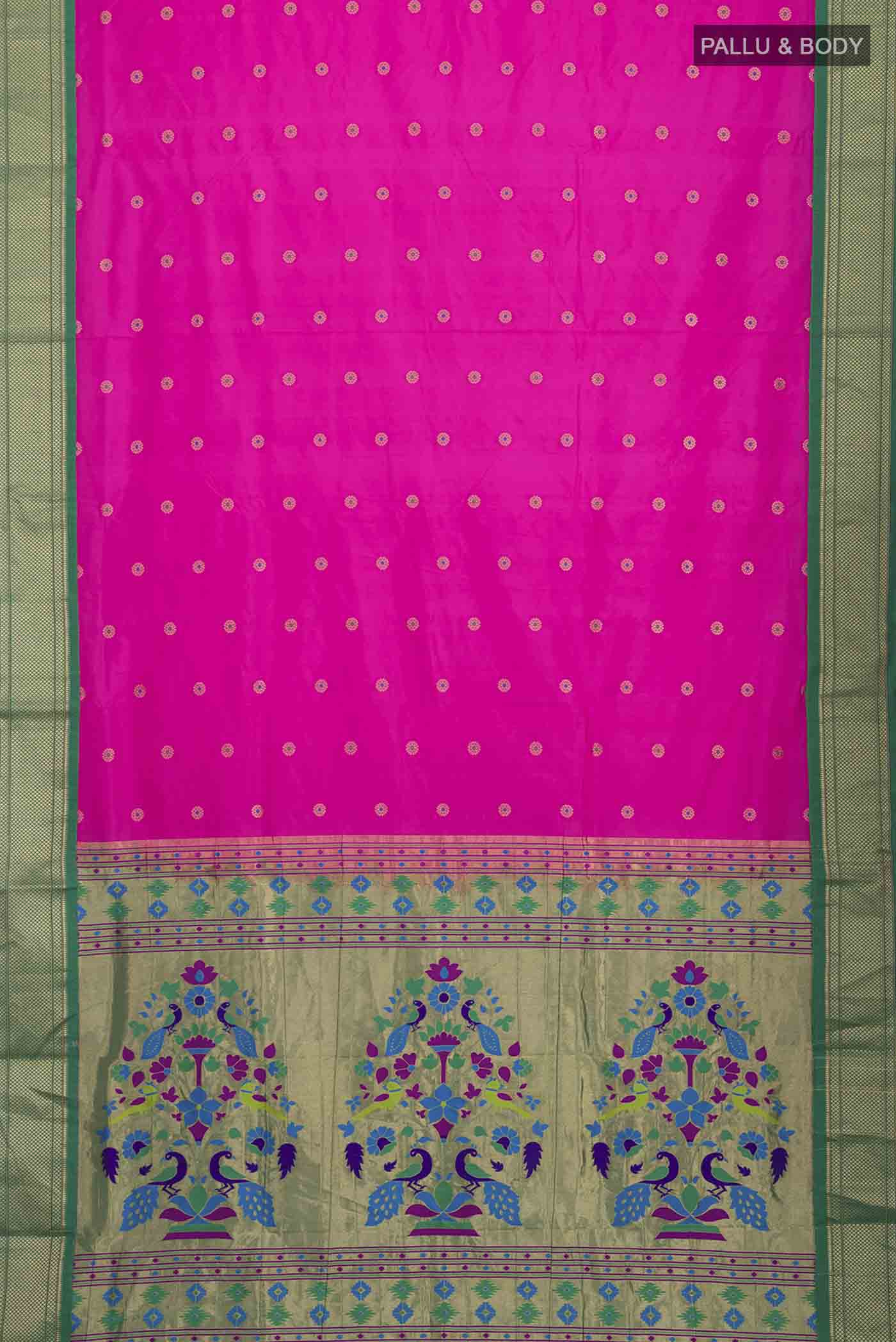 pallu body