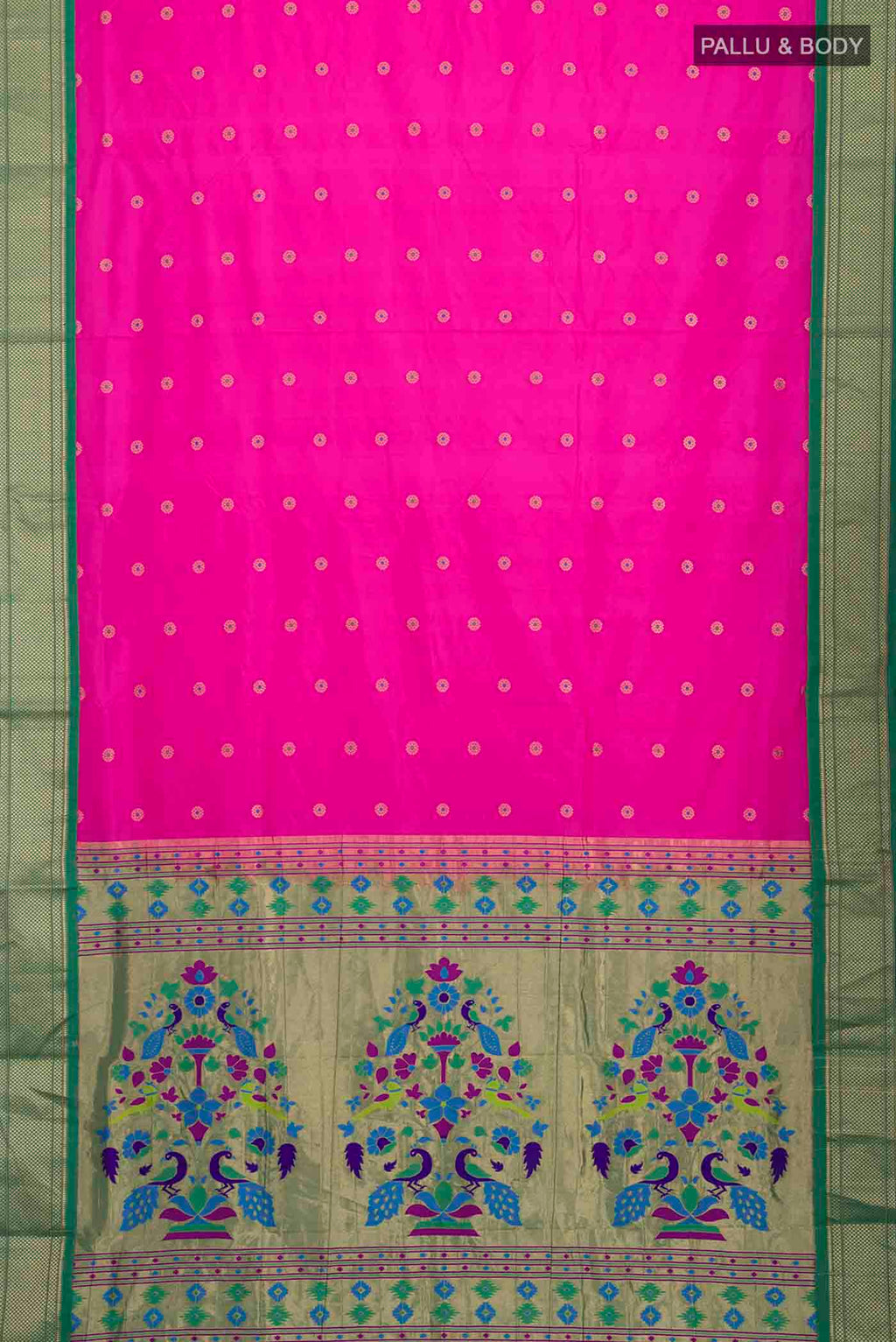 pallu body