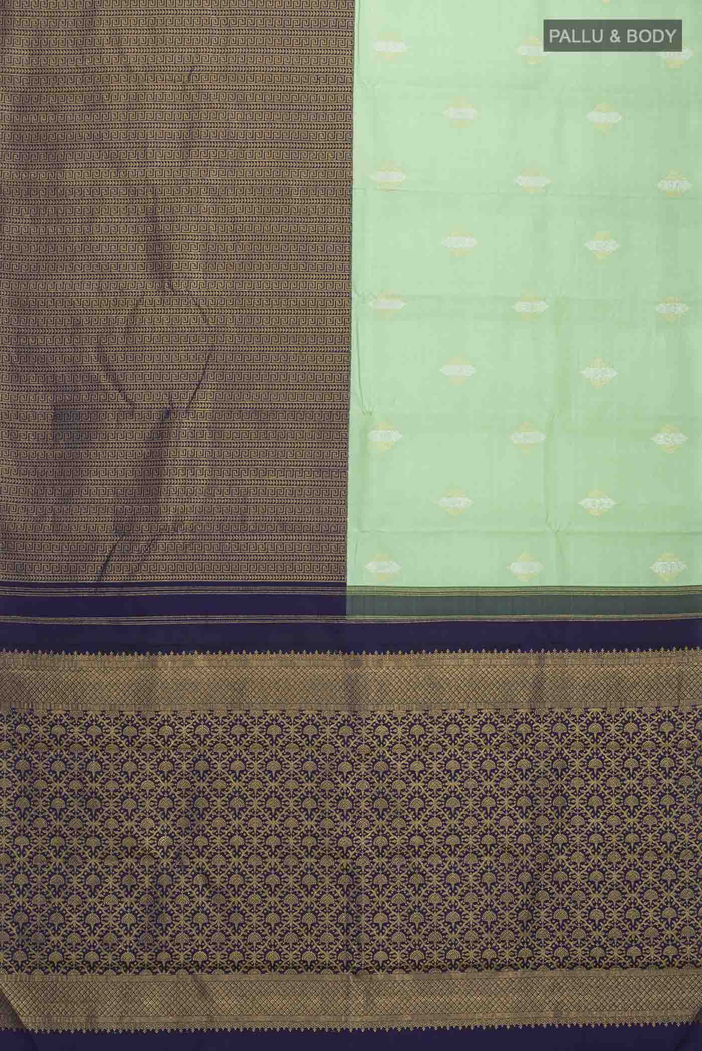 pallu body