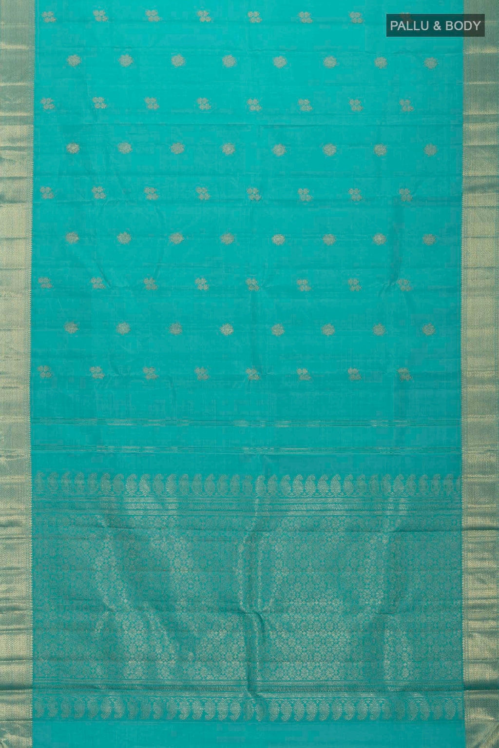 pallu body