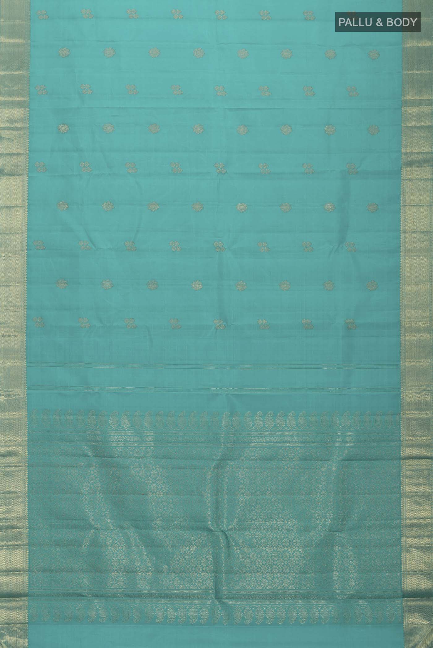 pallu body