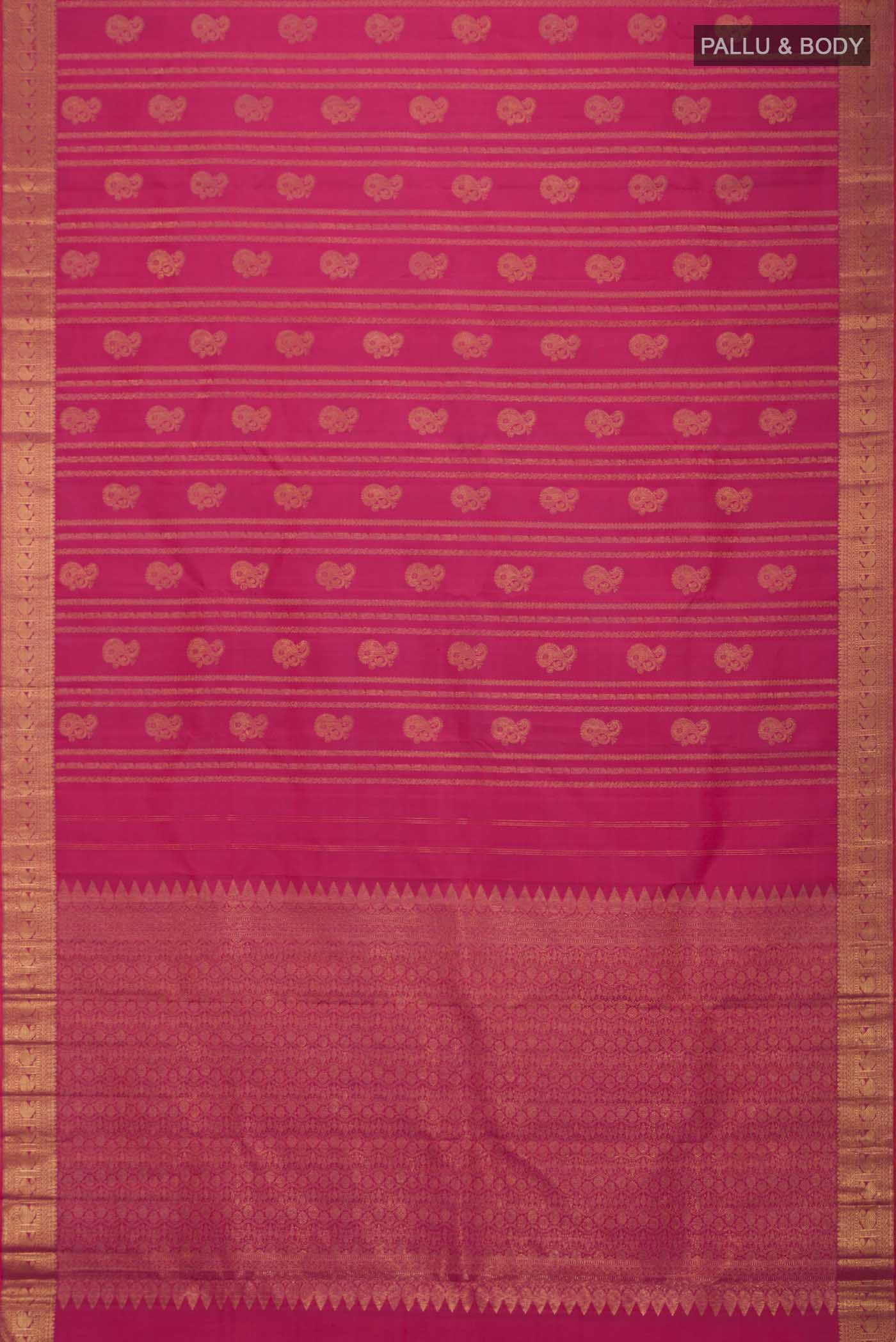 pallu body