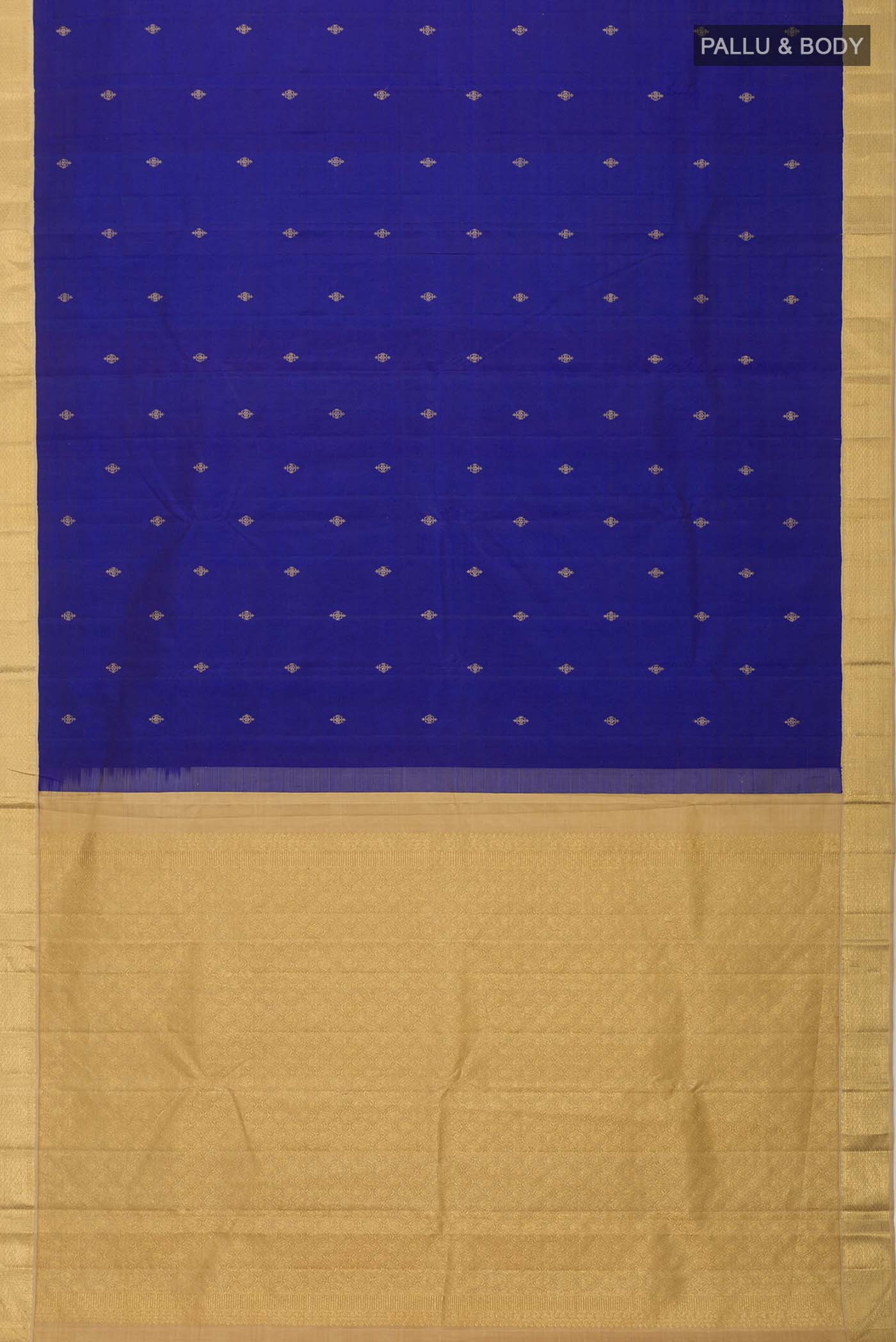 pallu body