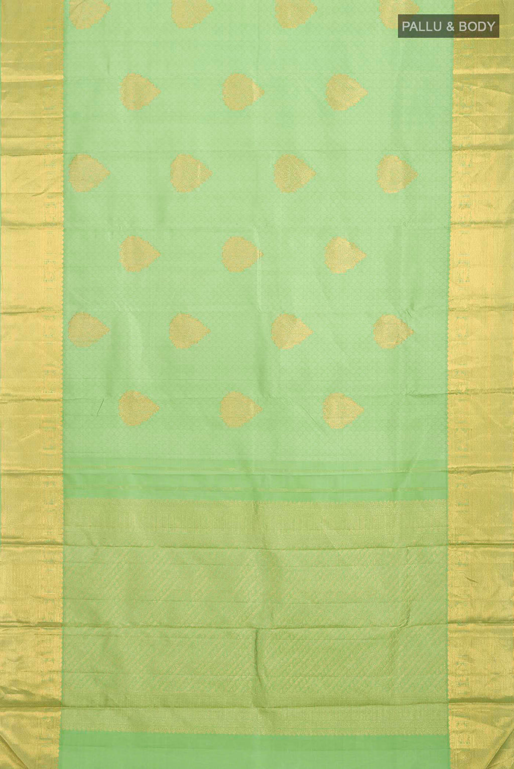 pallu body