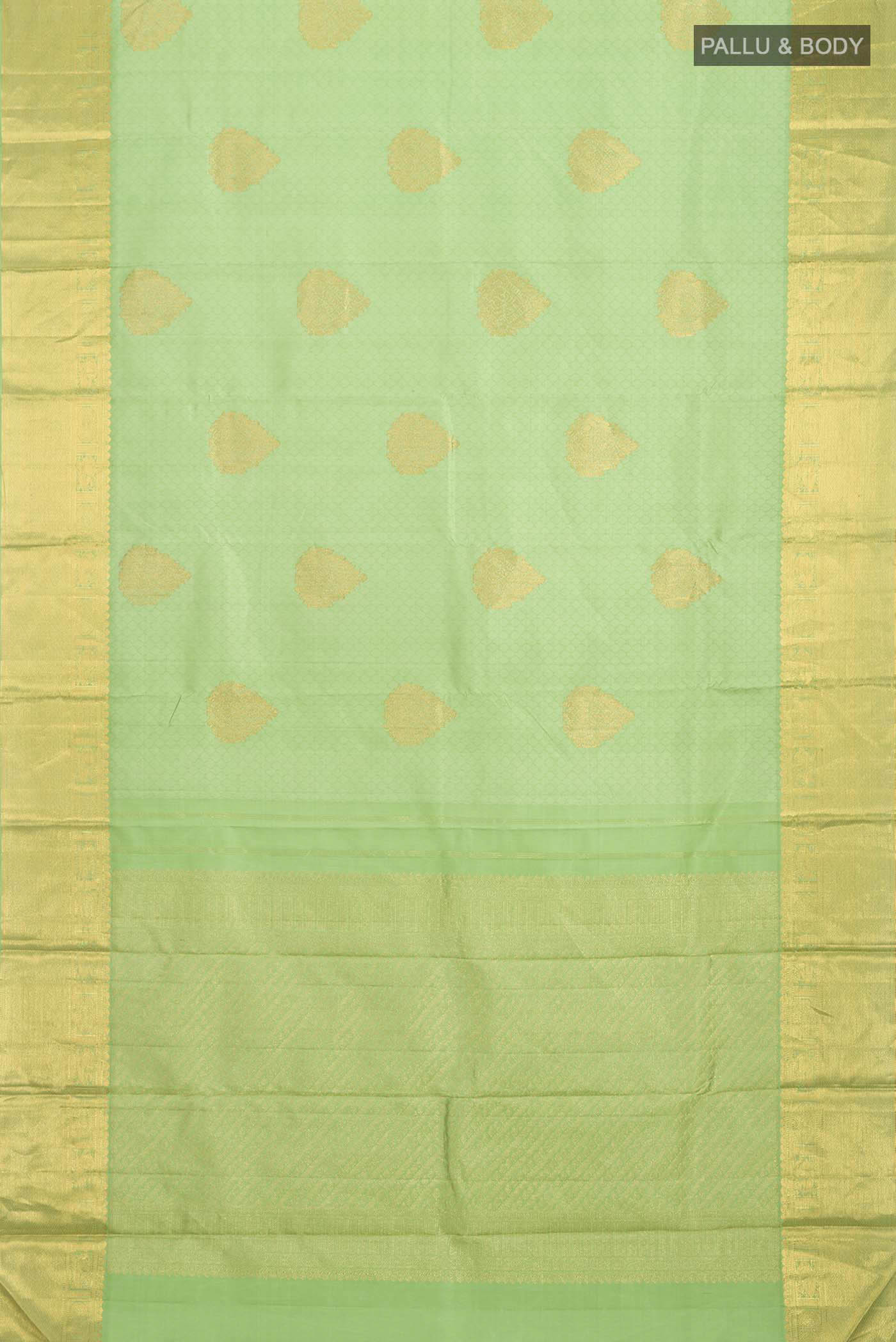 pallu body