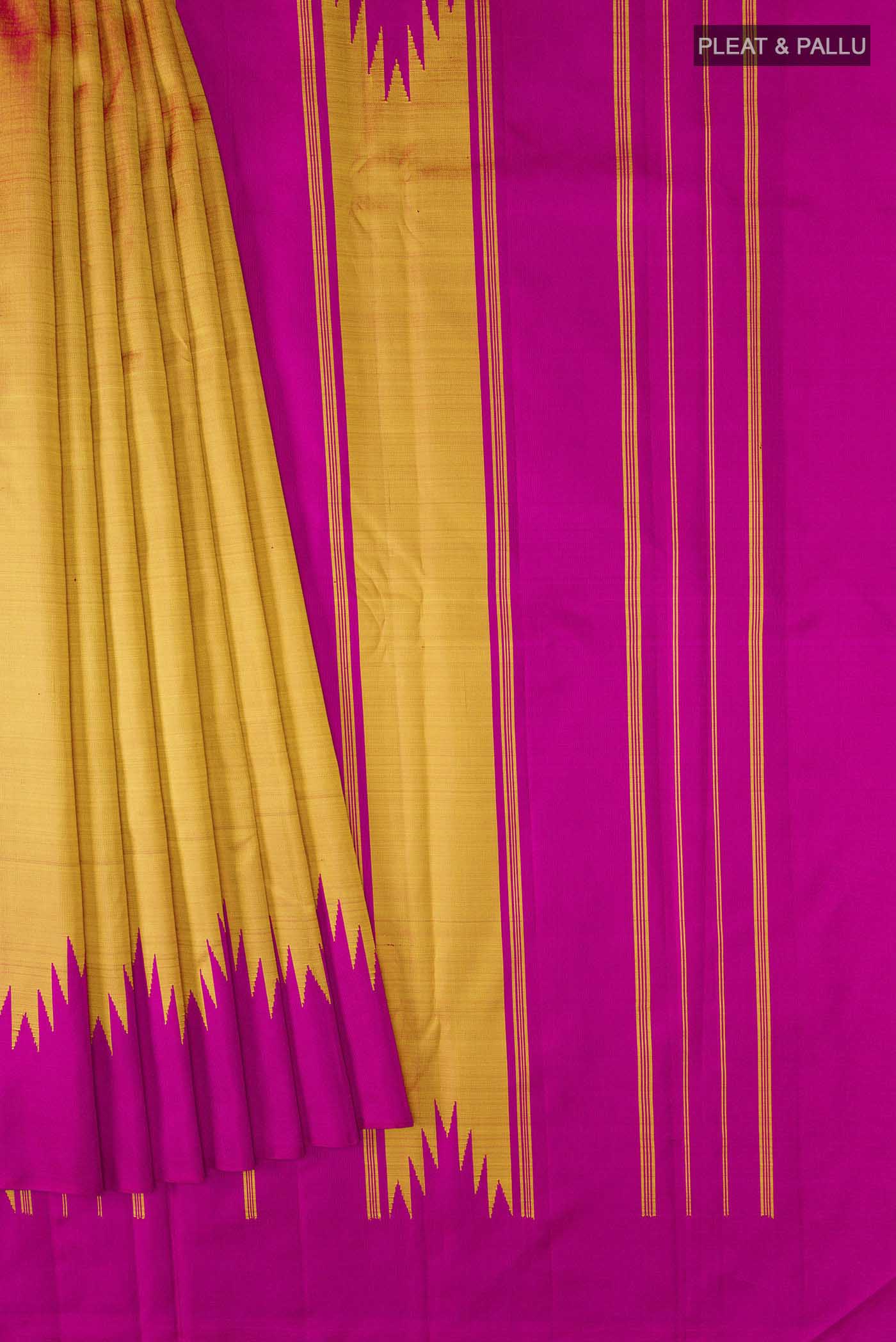pleats pallu