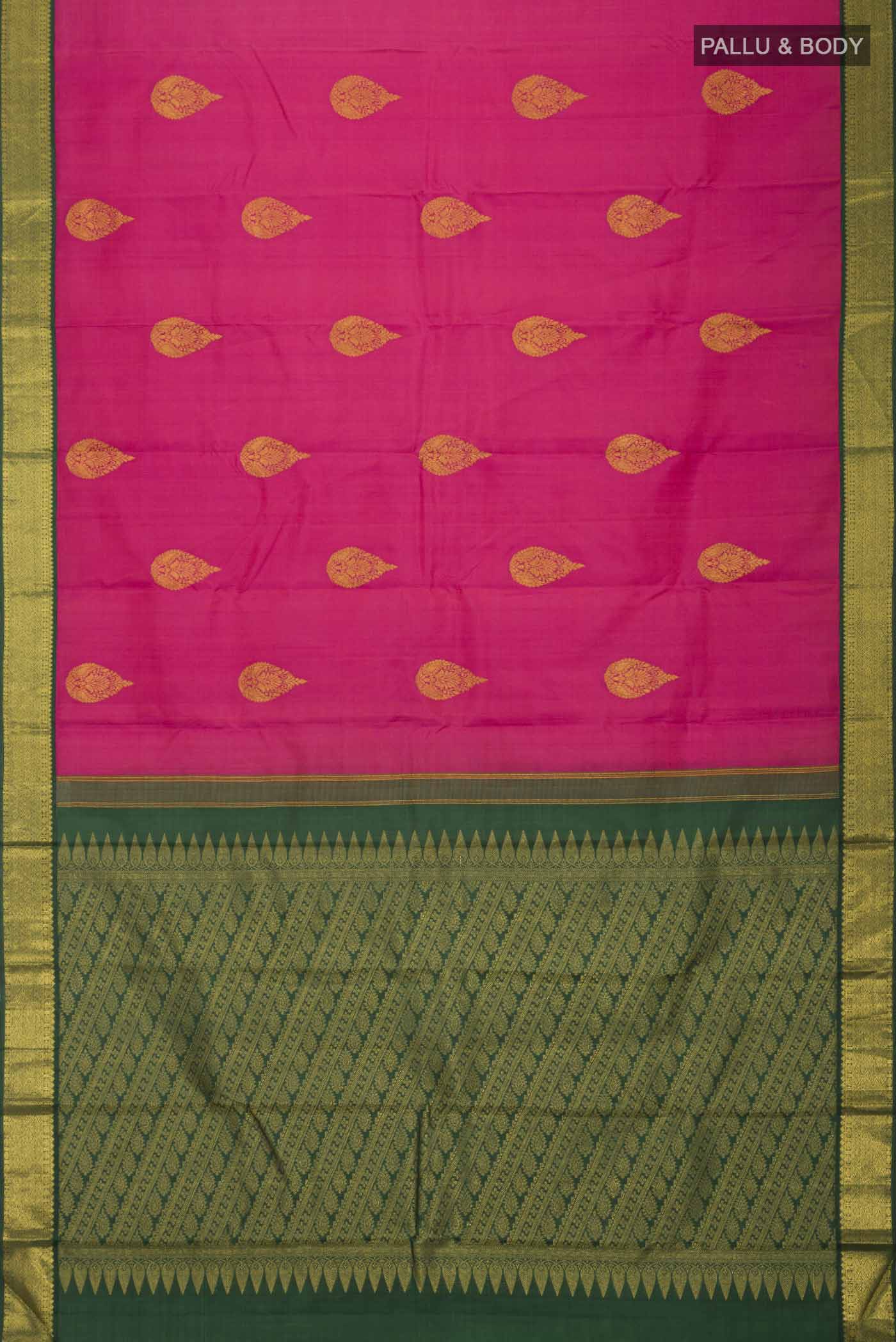pallu body