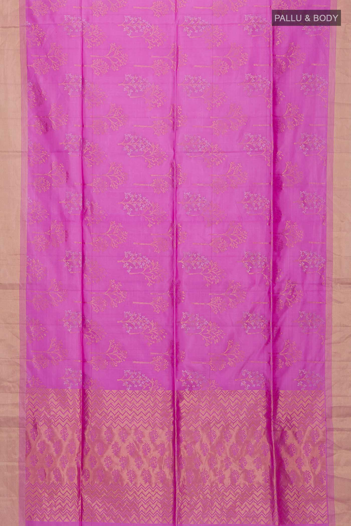 pallu body
