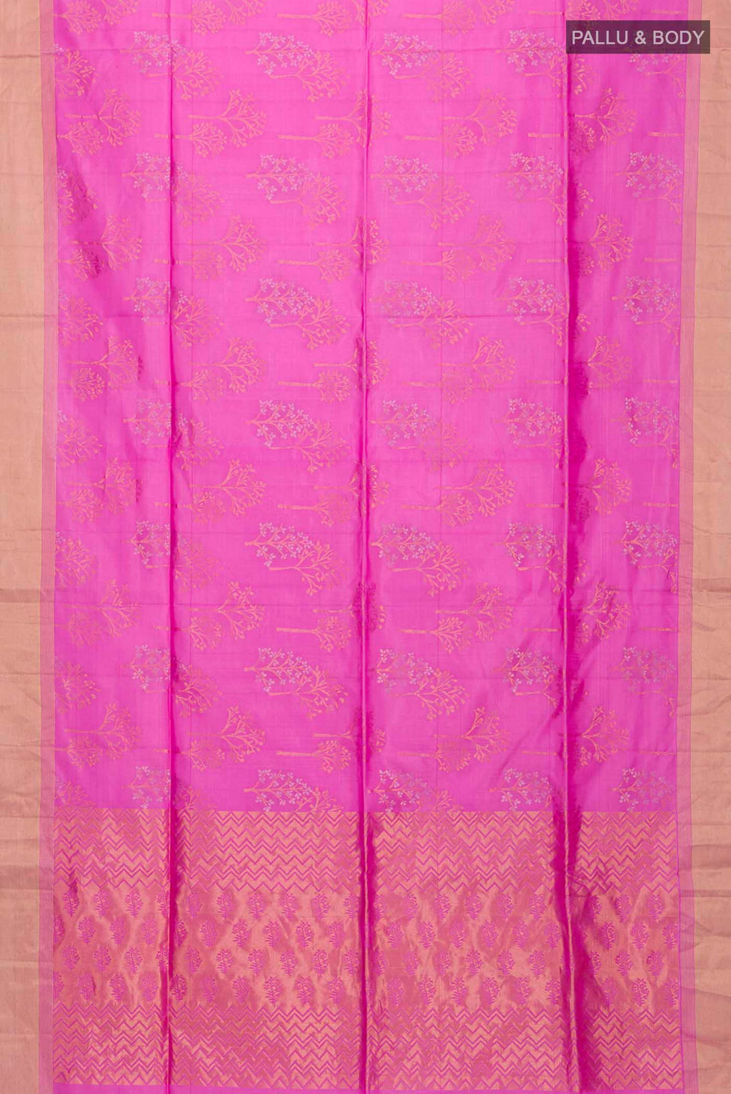 pallu body