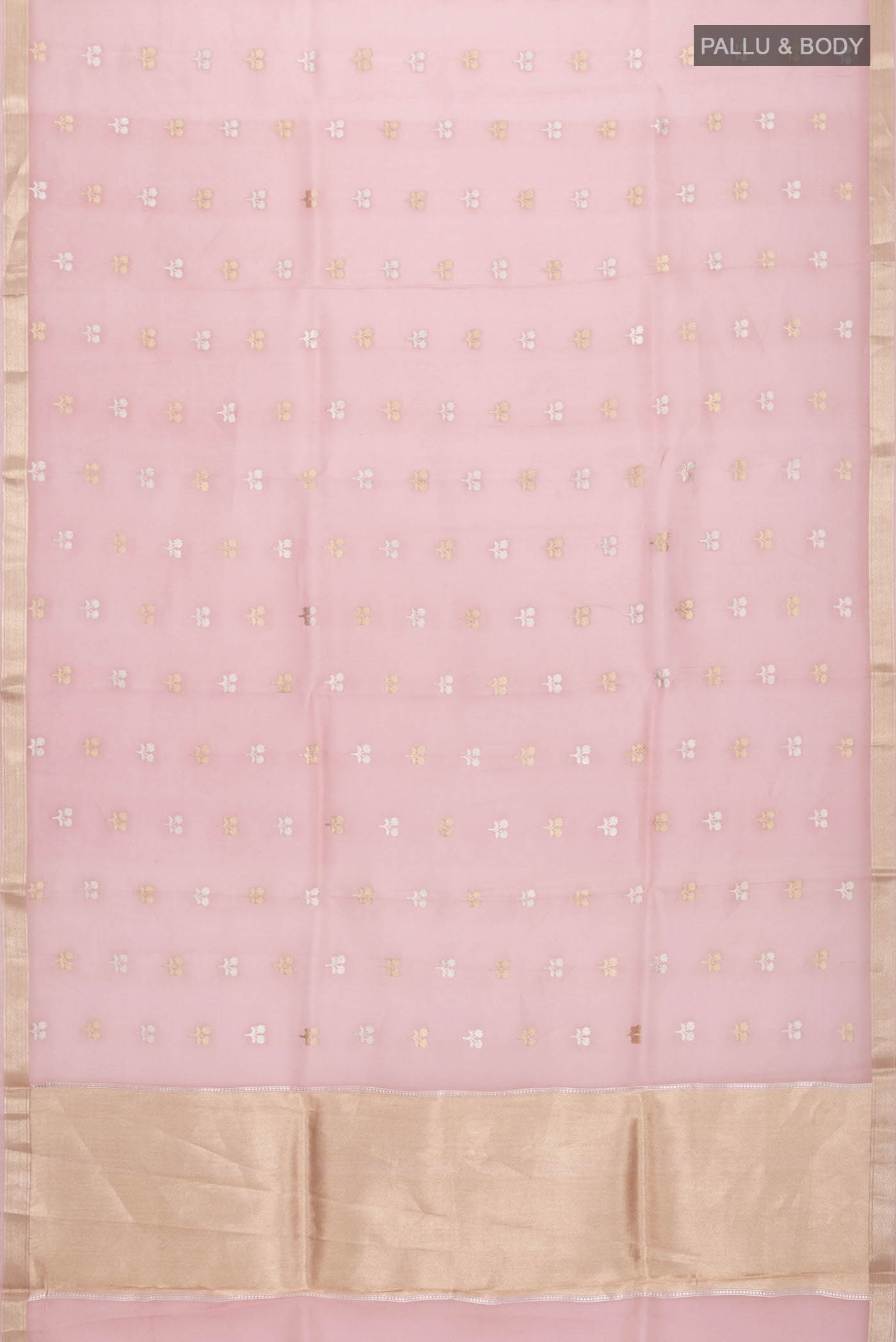 pallu body