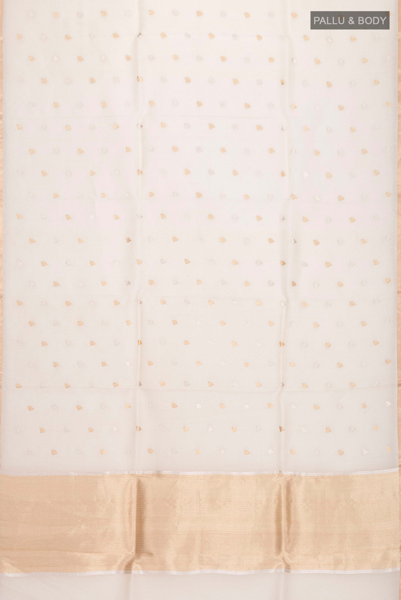 pallu body