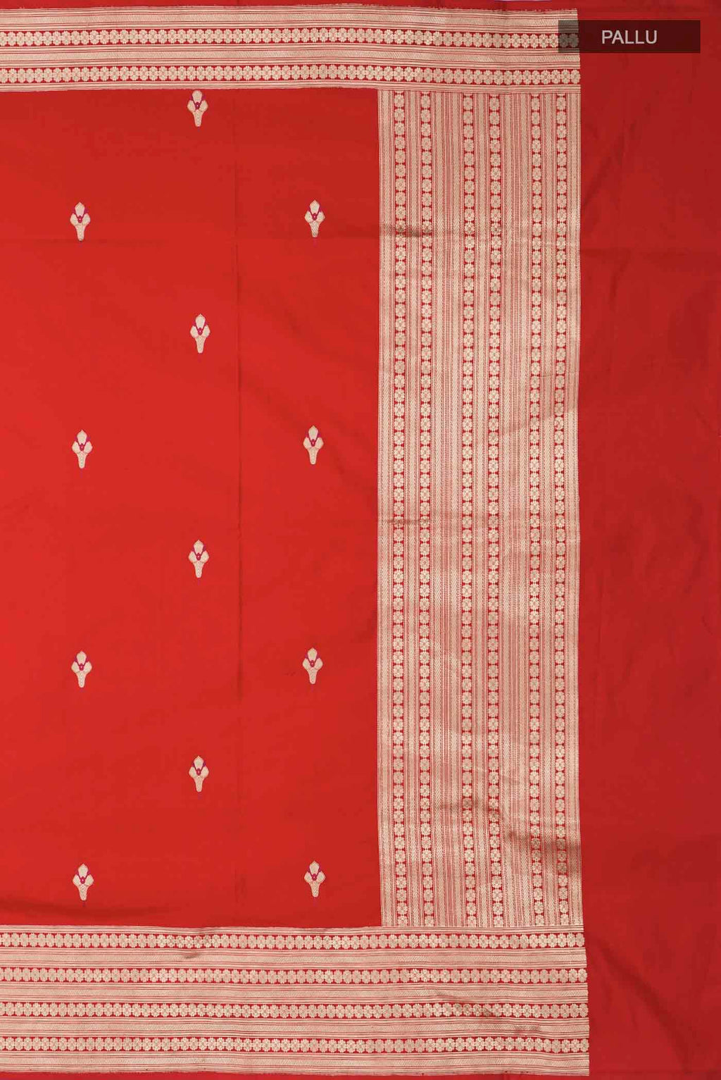 pallu_closeup