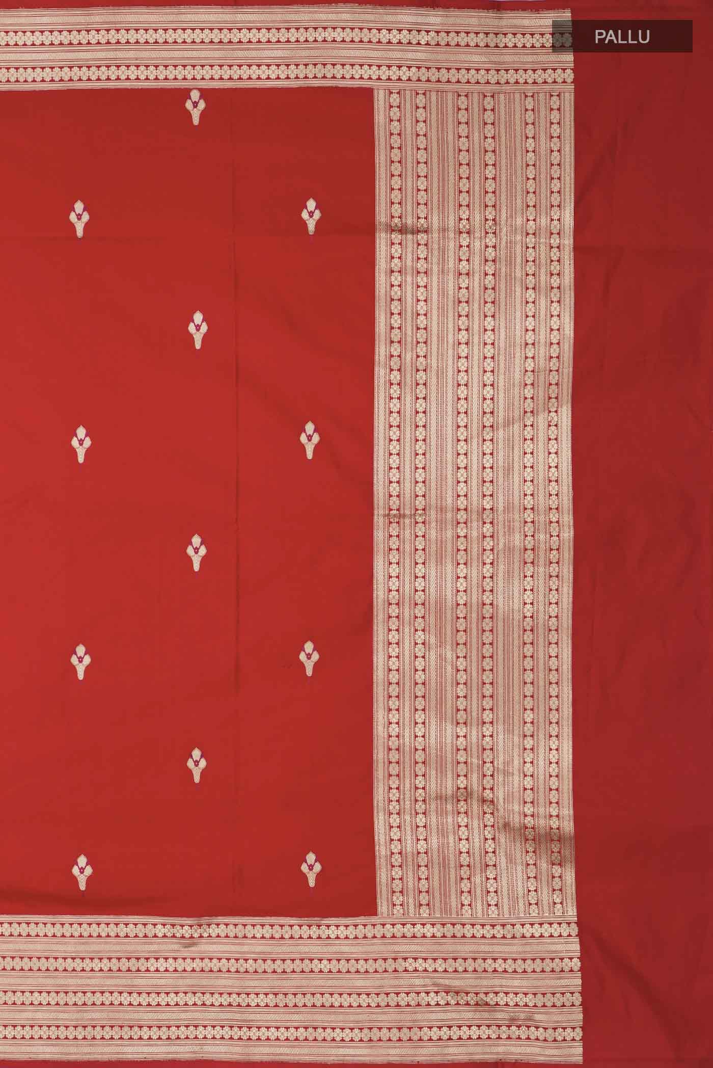 pallu_closeup