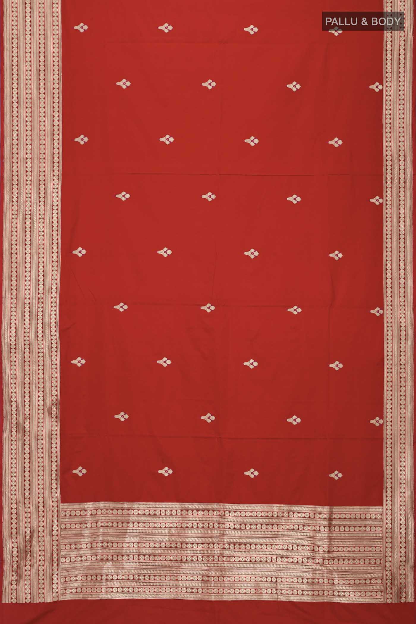 pallu body