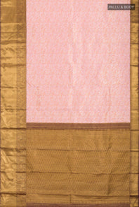 pallu body
