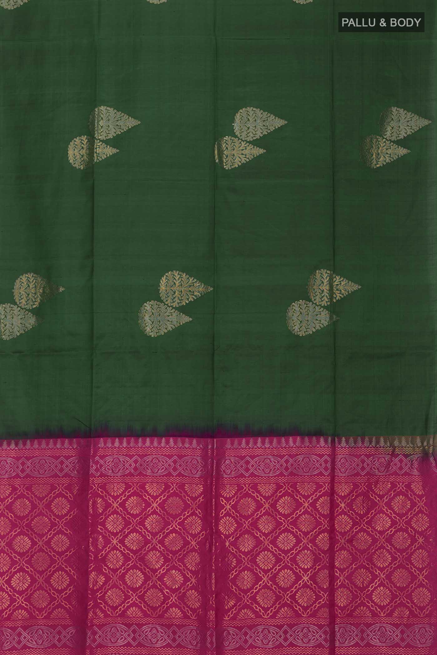 pallu body