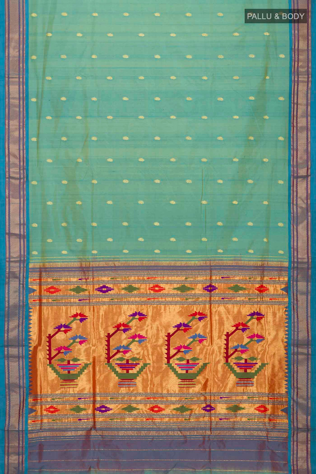 pallu body