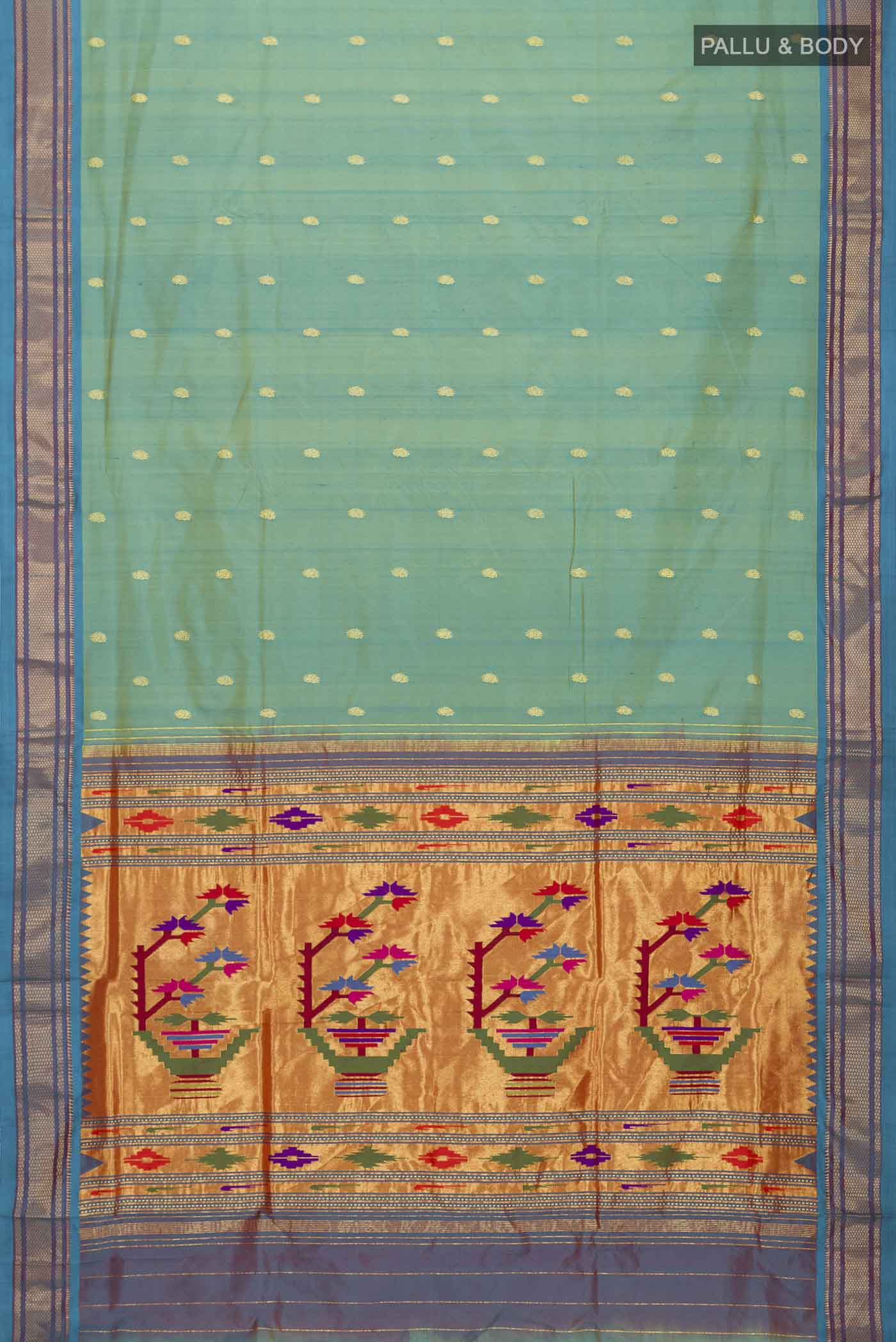 pallu body