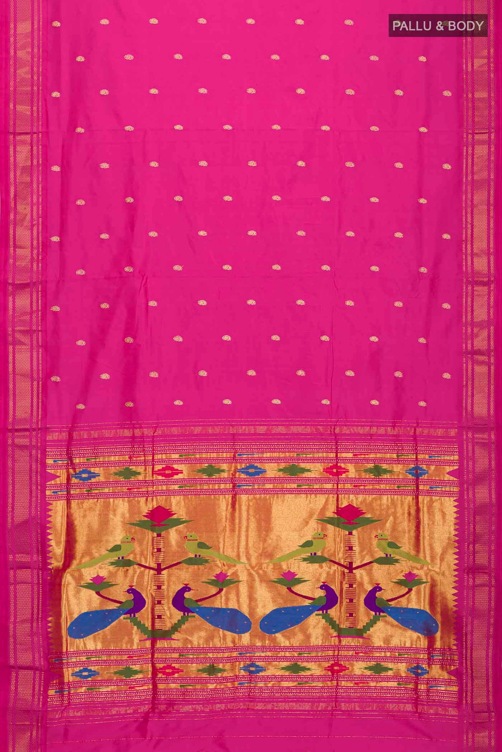 pallu body