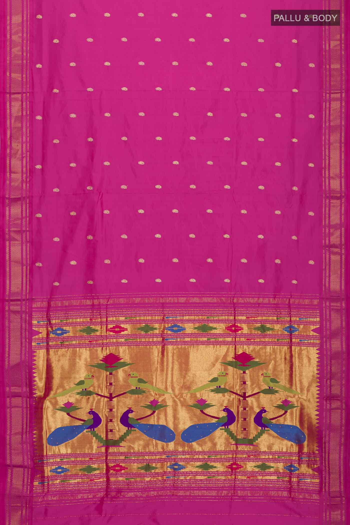 pallu body
