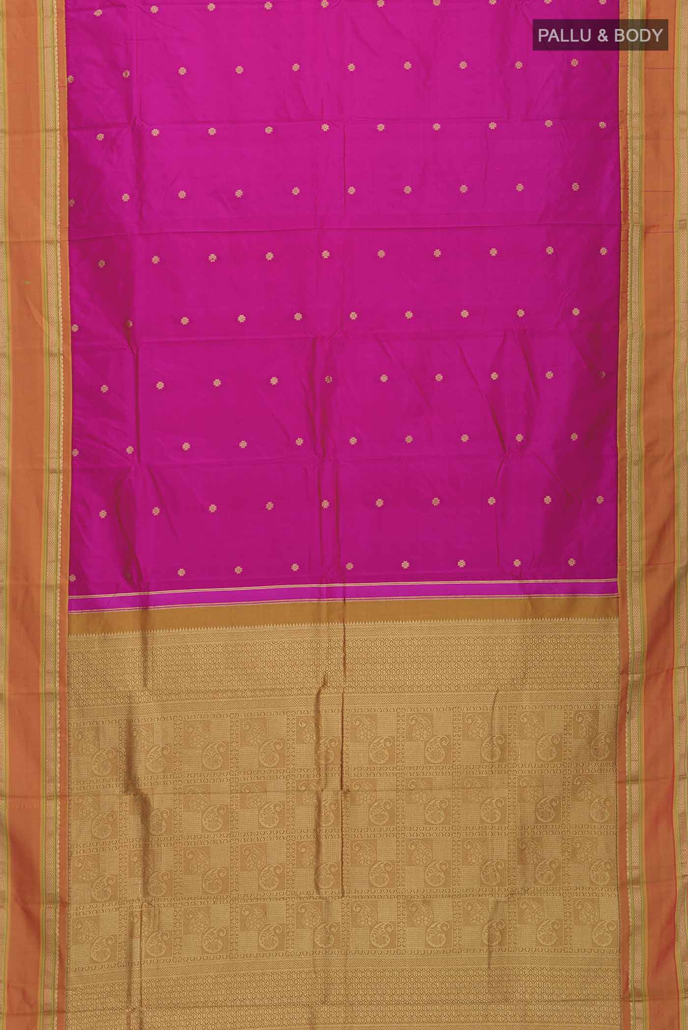 pallu body