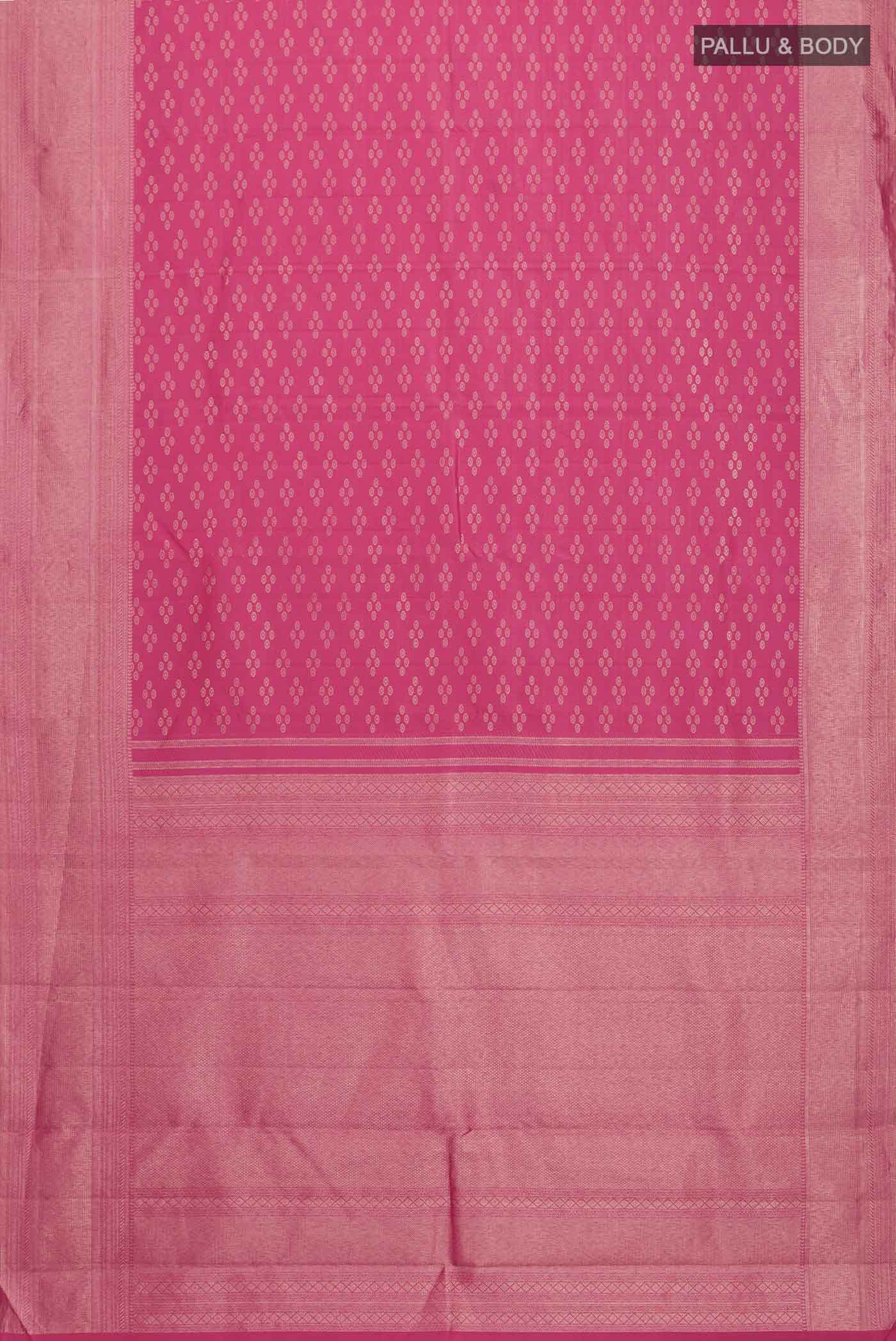 pallu body