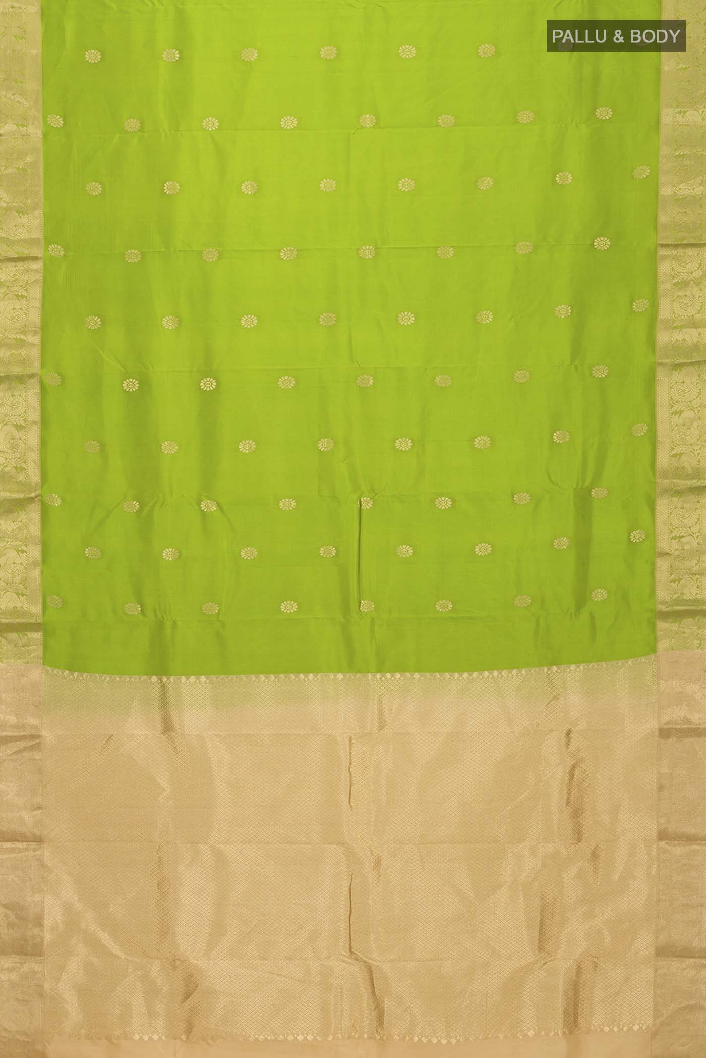 pallu body