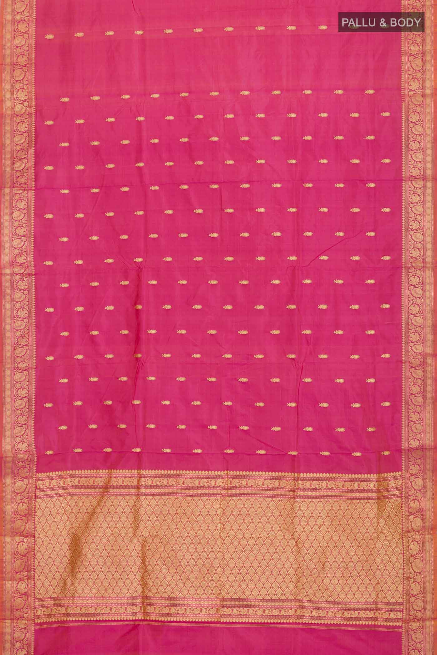 pallu body