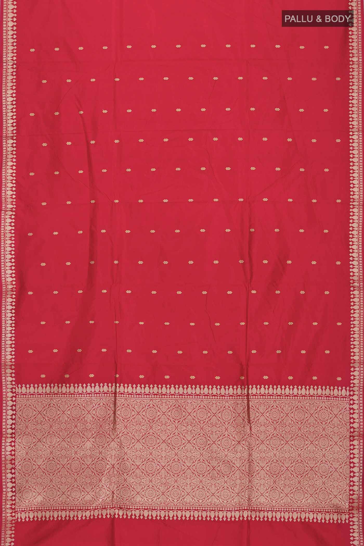 pallu body