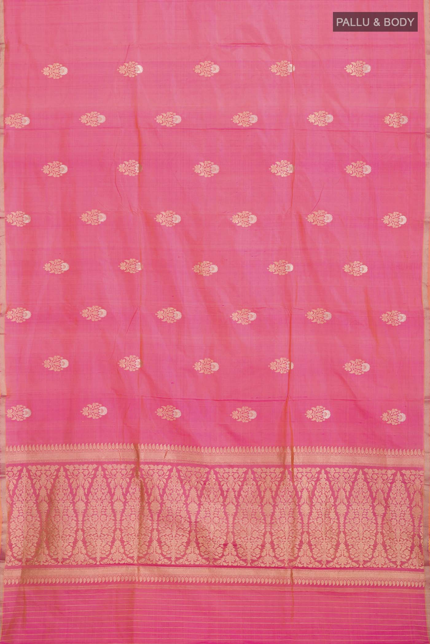 pallu body
