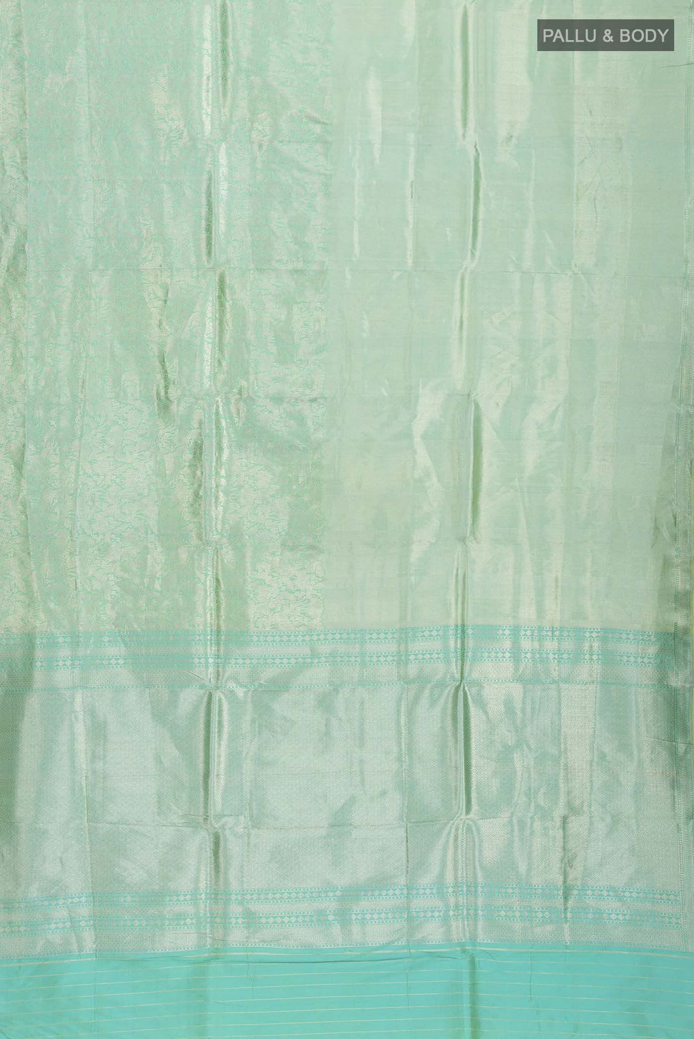 pallu body