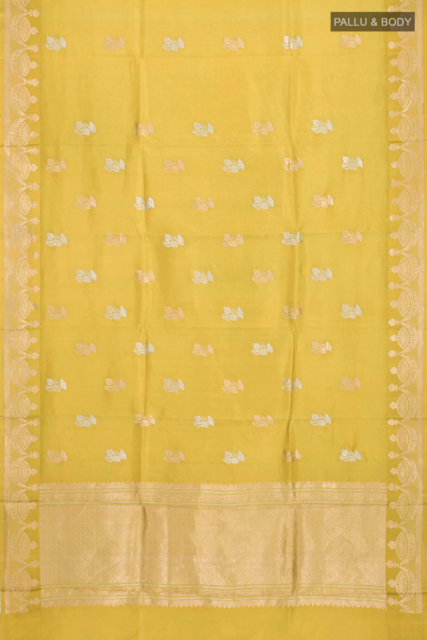 pallu body