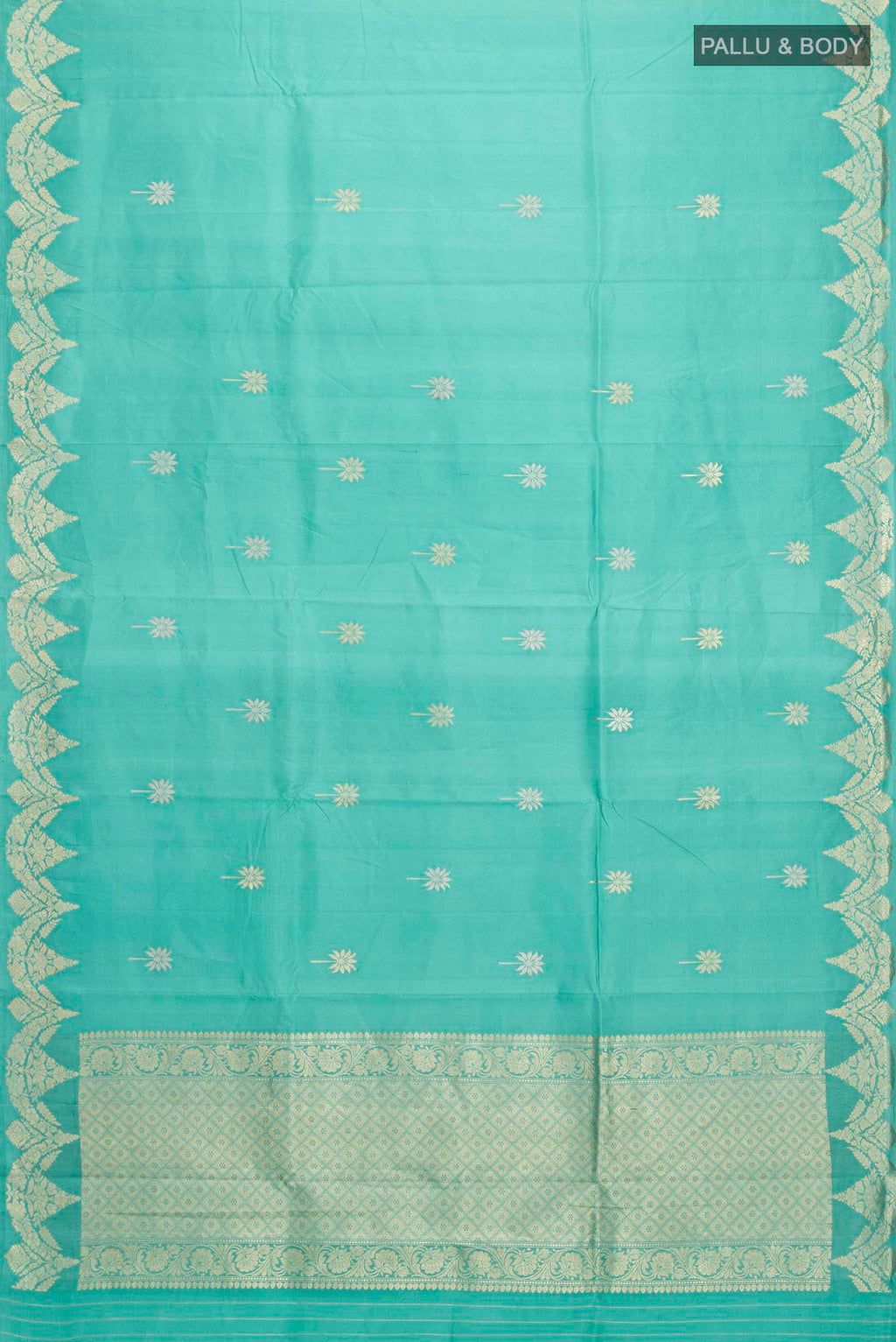 pallu body