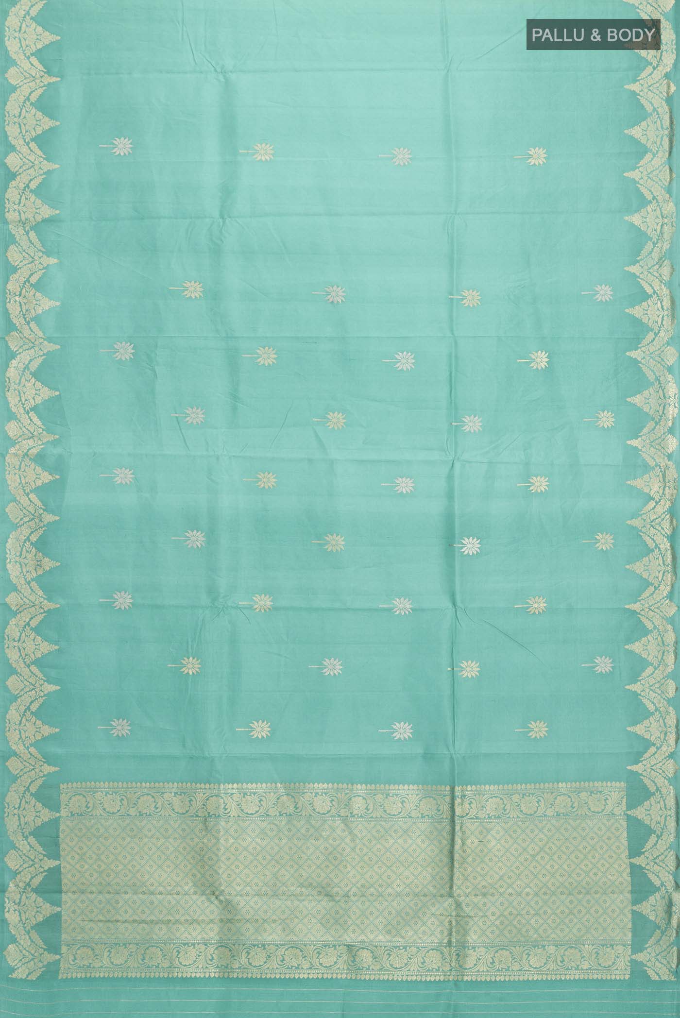 pallu body