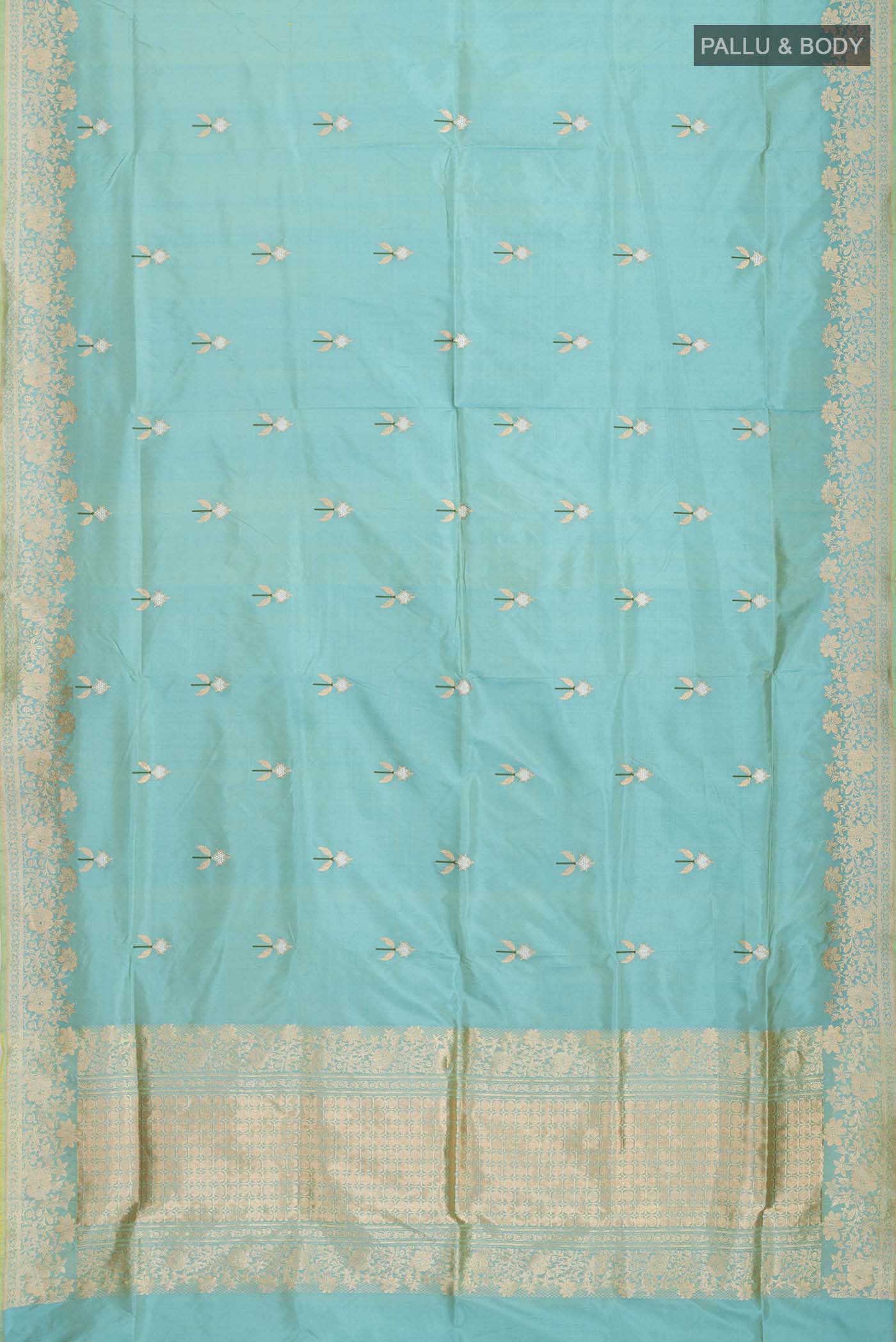 pallu body