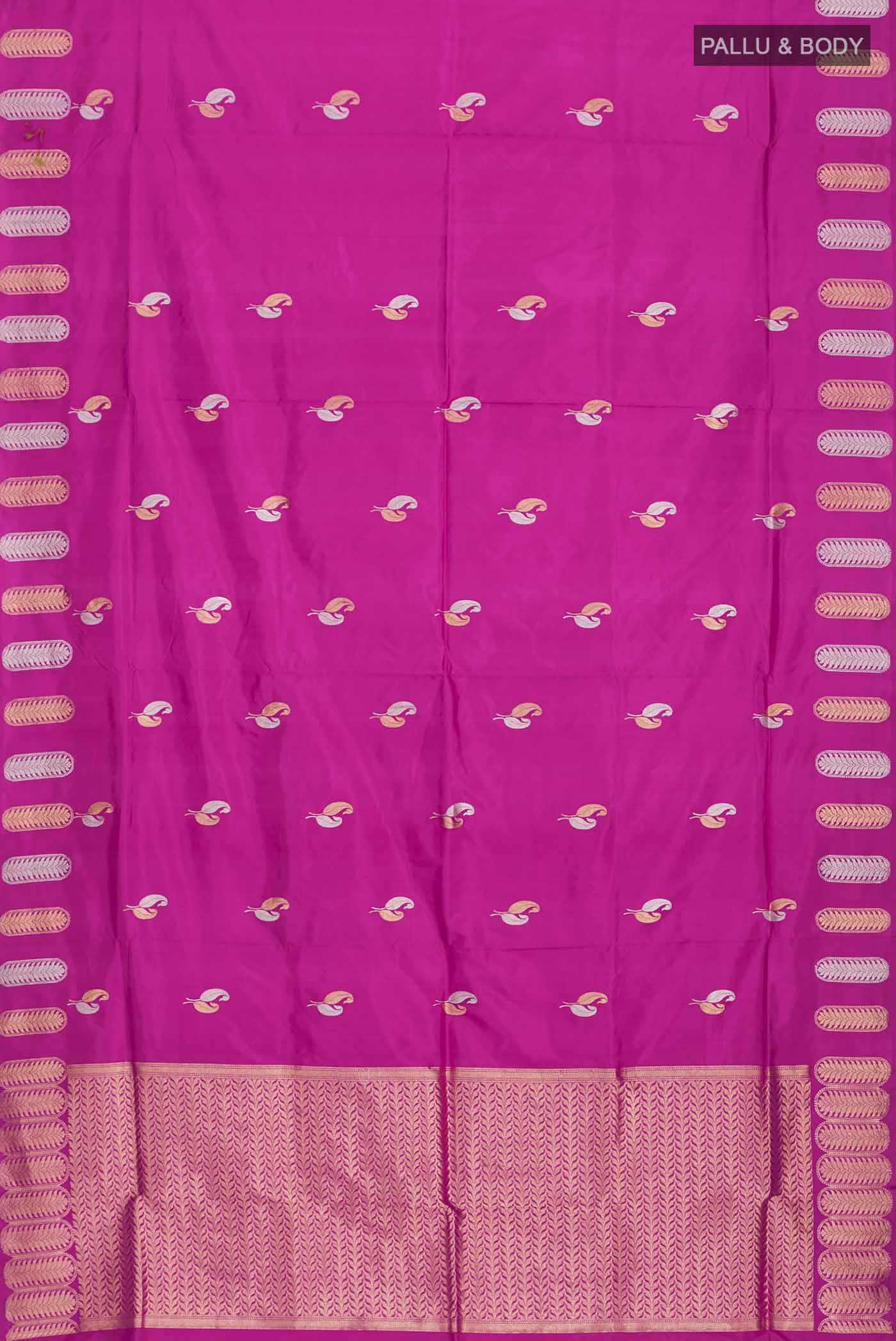 pallu body