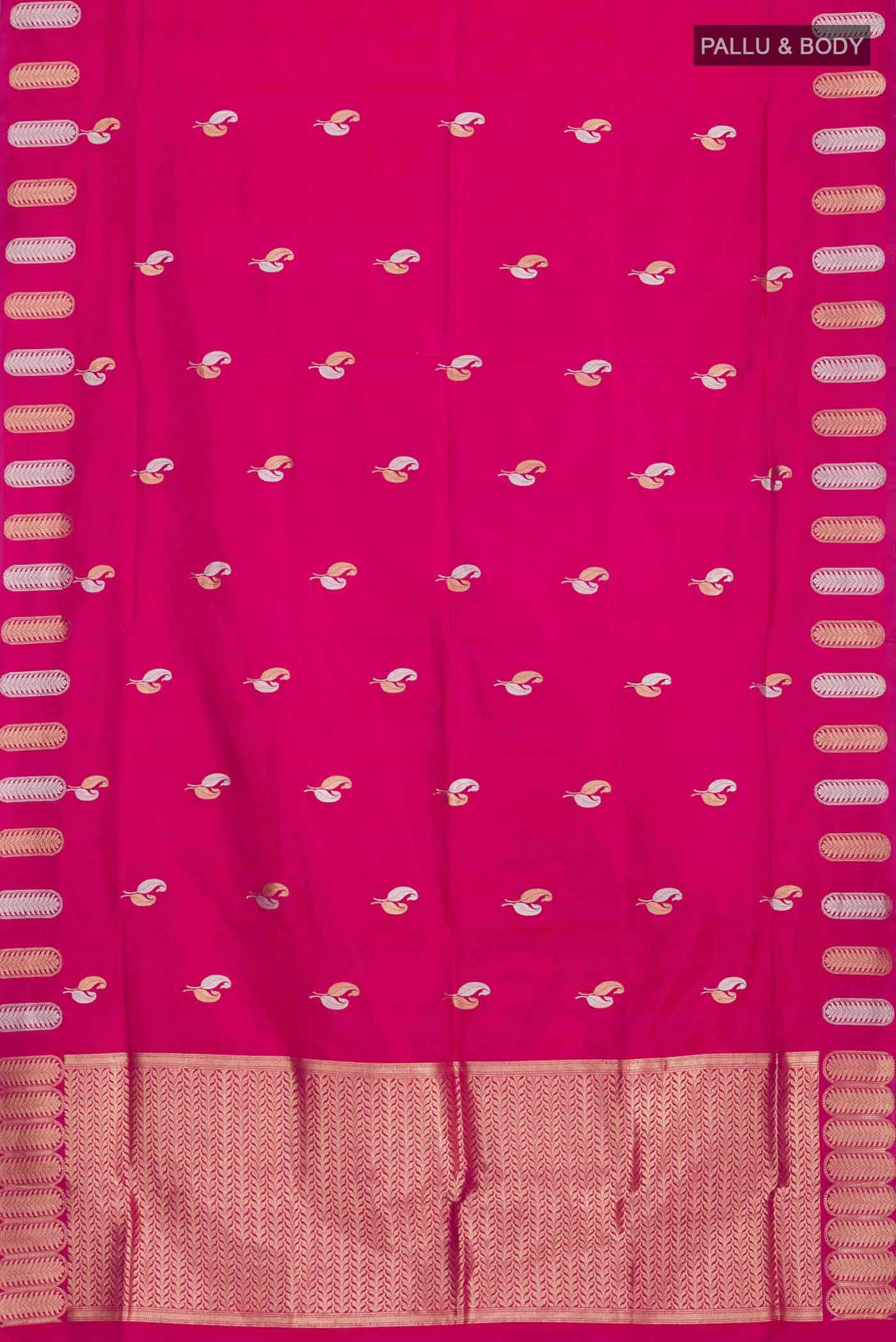 pallu body