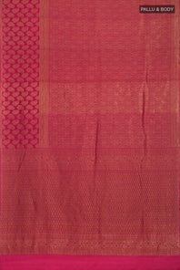 pallu body