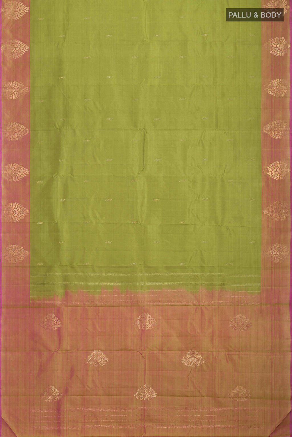 pallu body