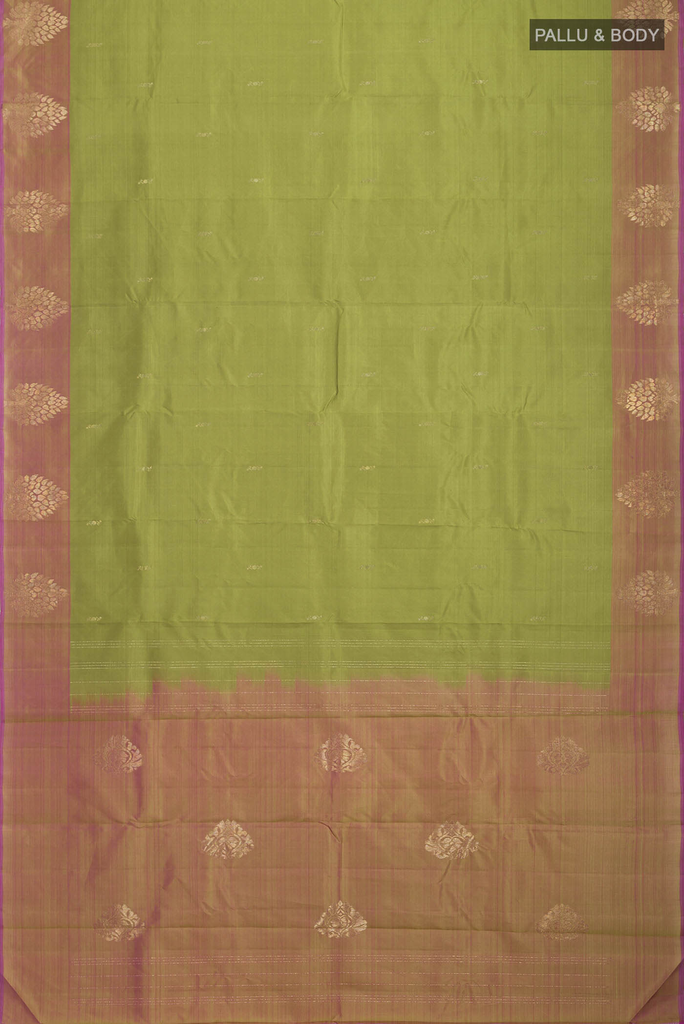 pallu body