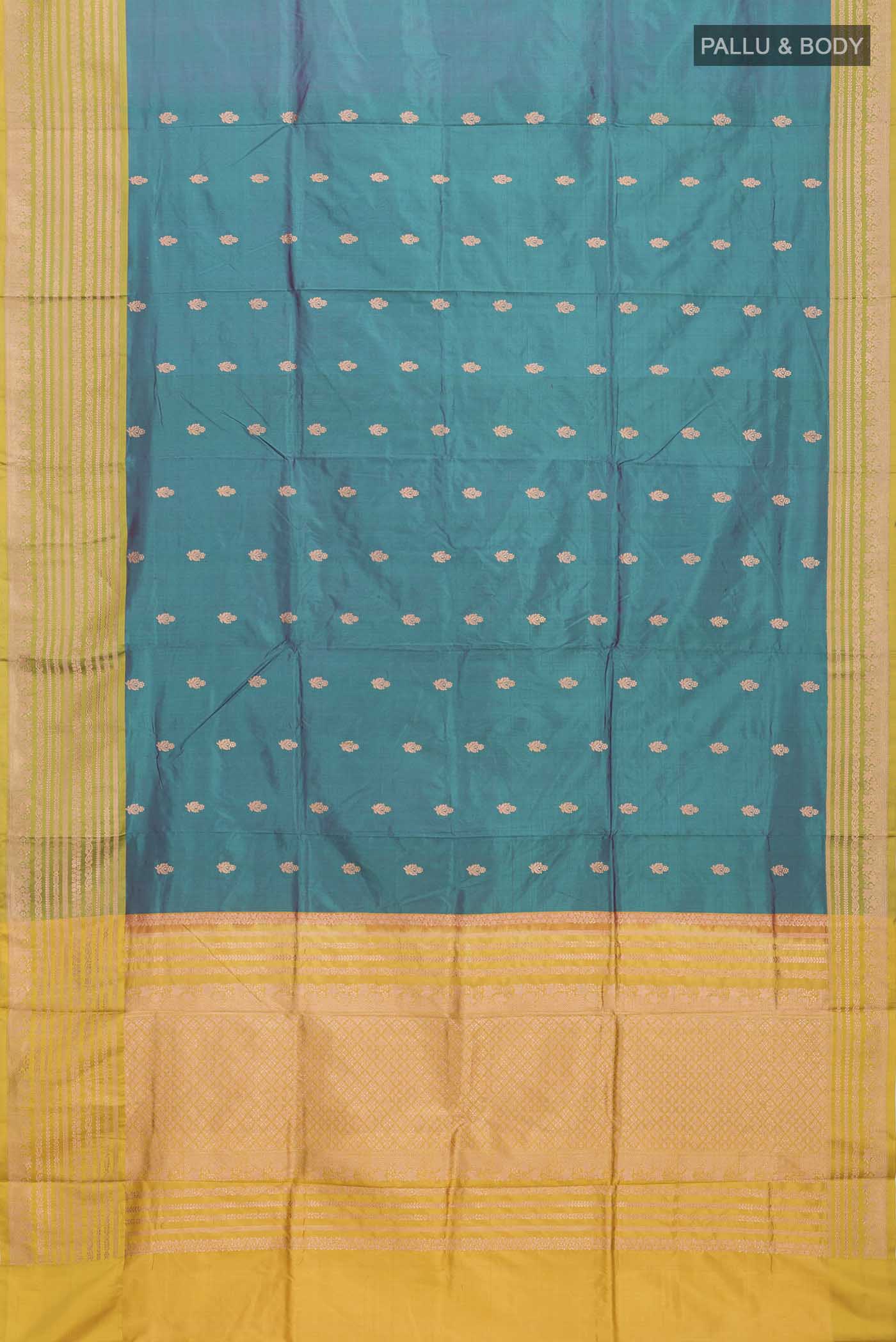 pallu body