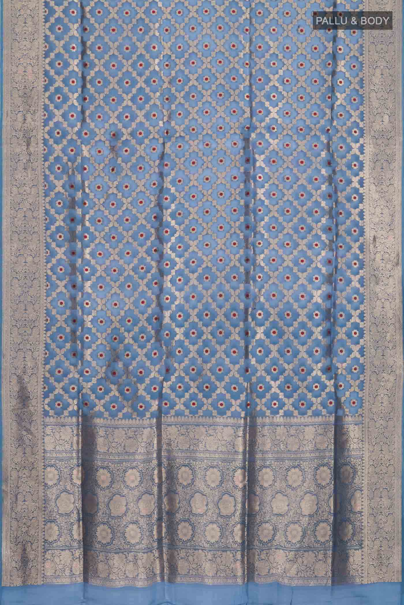 pallu body