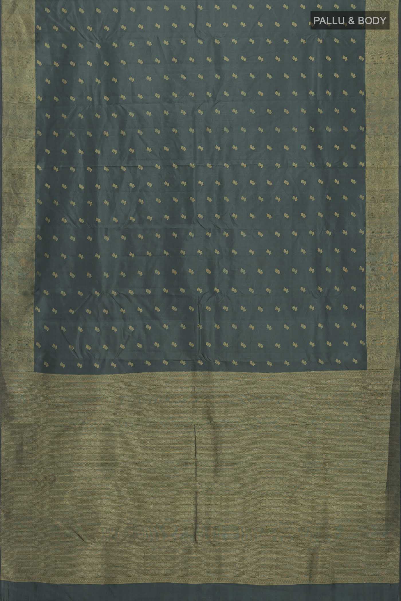 pallu body