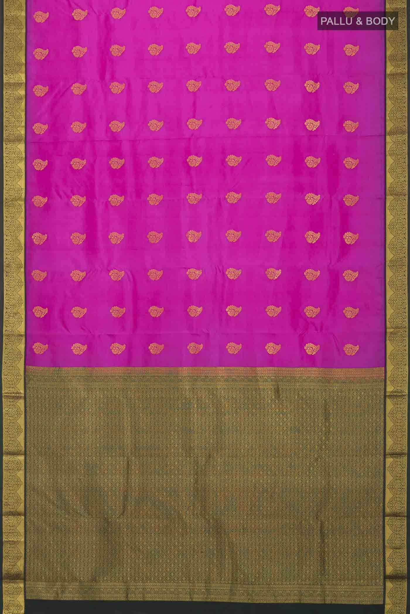 pallu body
