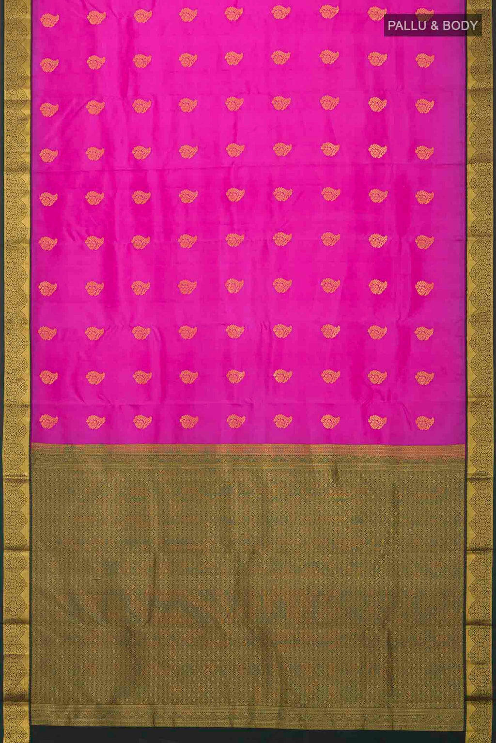 pallu body