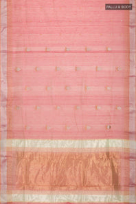 pallu body