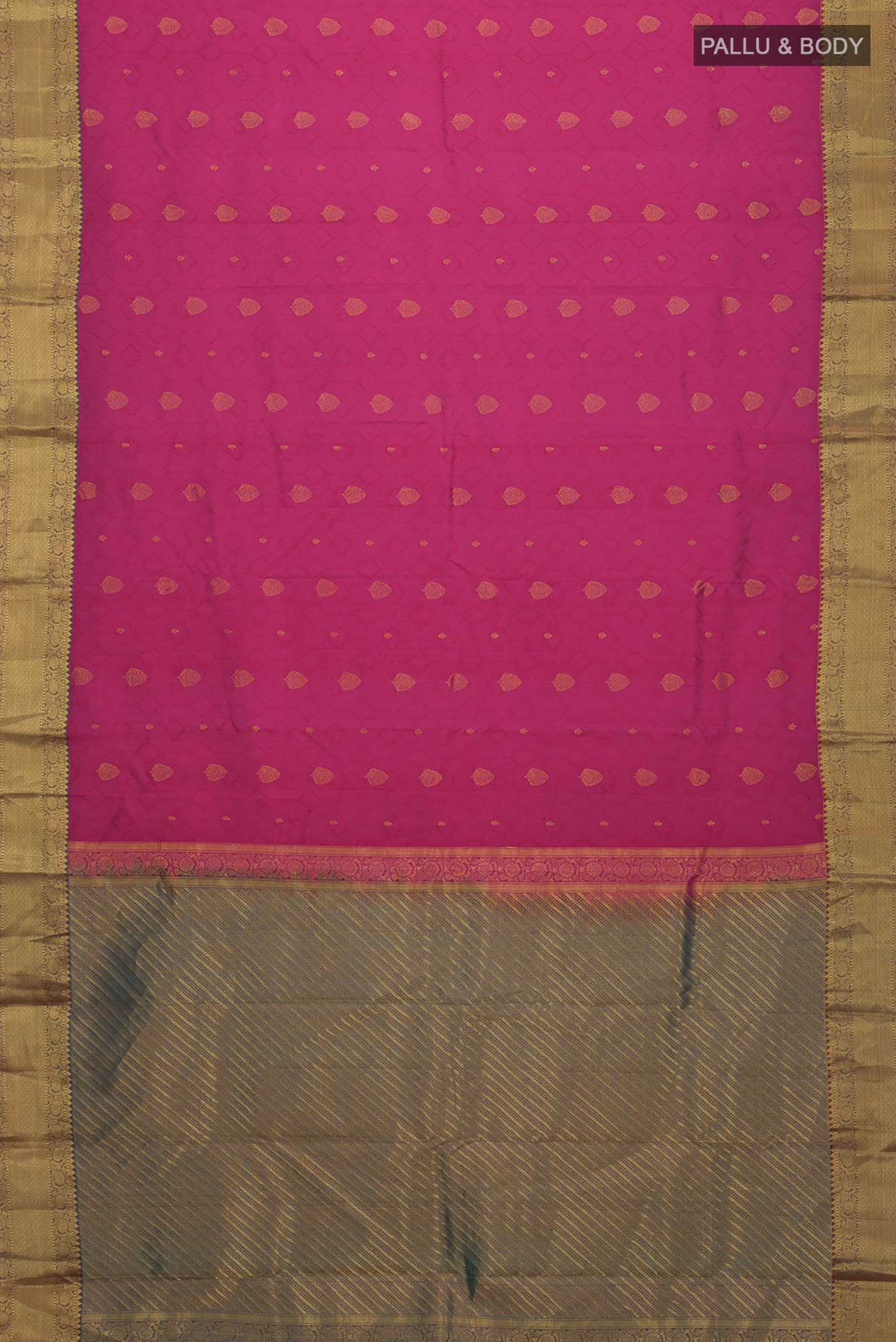 pallu body