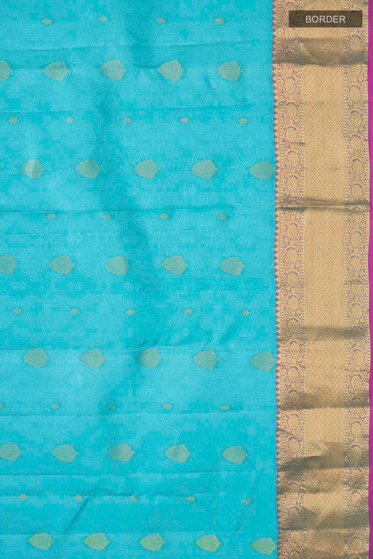 Border image of Blue Kanchipuram Silk Saree with Jacquard With Zari Butta on the body and Zari Border