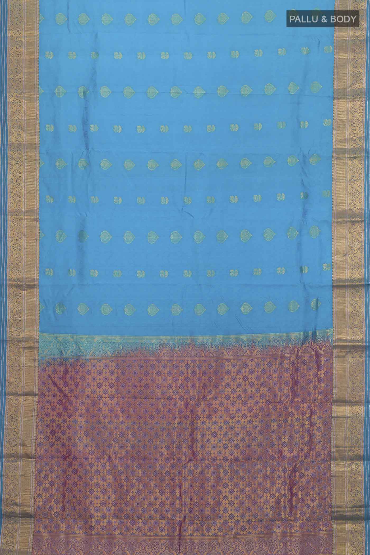 pallu body